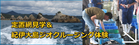 定置網見学&紀伊大島ジオクルージング体験
