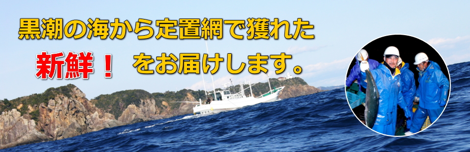 自社定置網で朝獲れたイセエビ、魚介を直ぐに捌いて天日干した串本の美味しい干物、串本町の干物を、直営ならではの鮮度とリーズナブルな価格でお届けします。